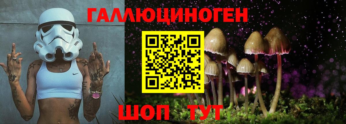 Полысаево  Галлюциногенные грибы мицелий  Вход с VPN 